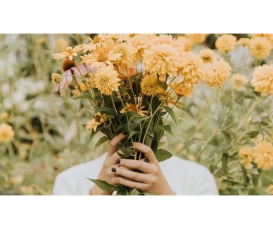 Do You Suffer from Allergies Asthma Seasonal Pollen