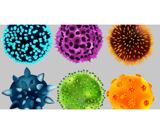 Vitamin C and Infections