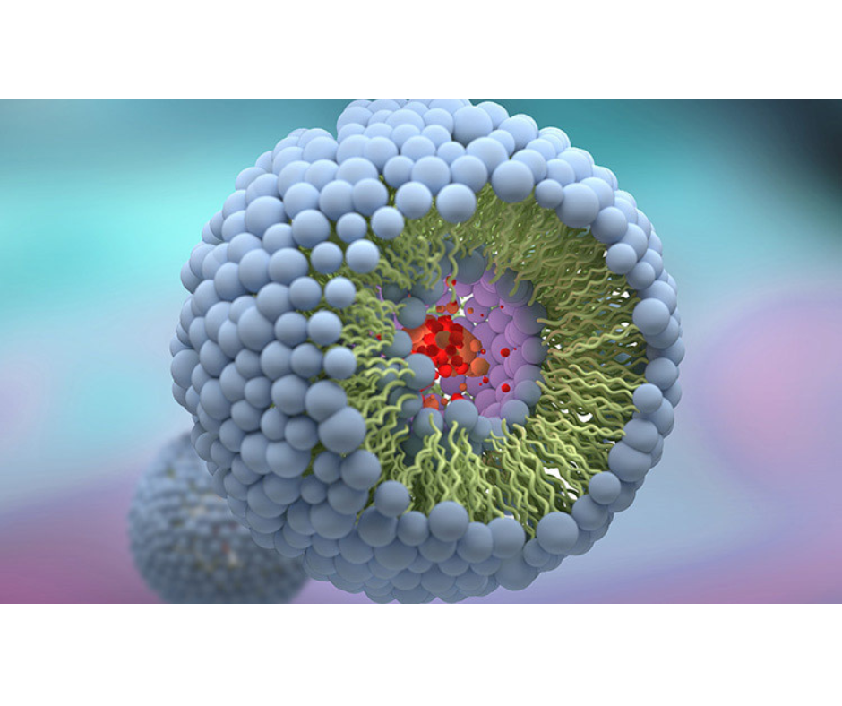 High Dose Liposomal Vitamin C