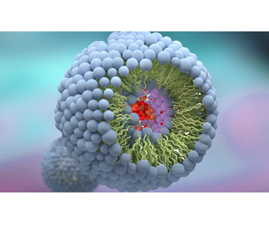 High Dose Liposomal Vitamin C